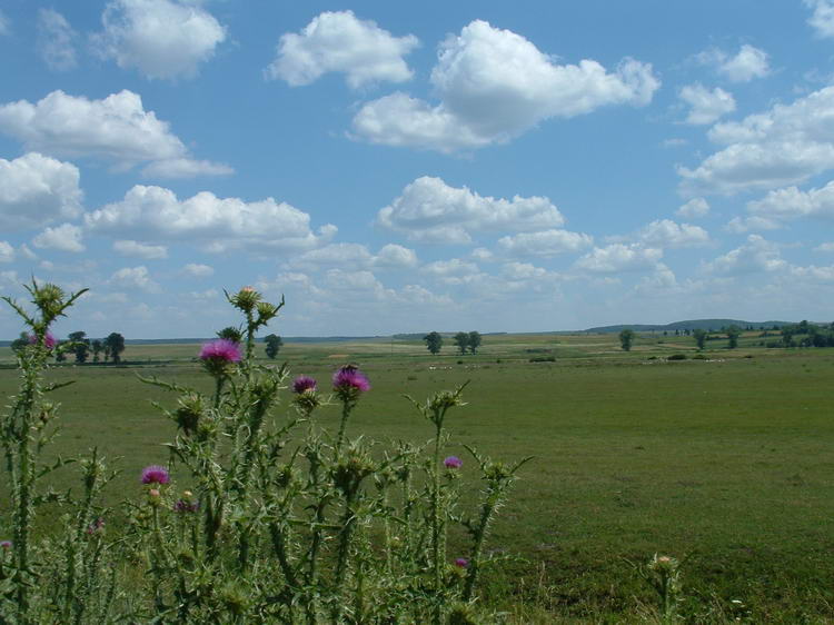 Podolski krajobraz w okolicy Przemylan.