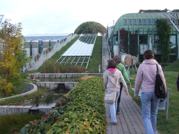 To nie ogrd botaniczny - jestemy na dachu (!) biblioteki uniwersyteckiej.